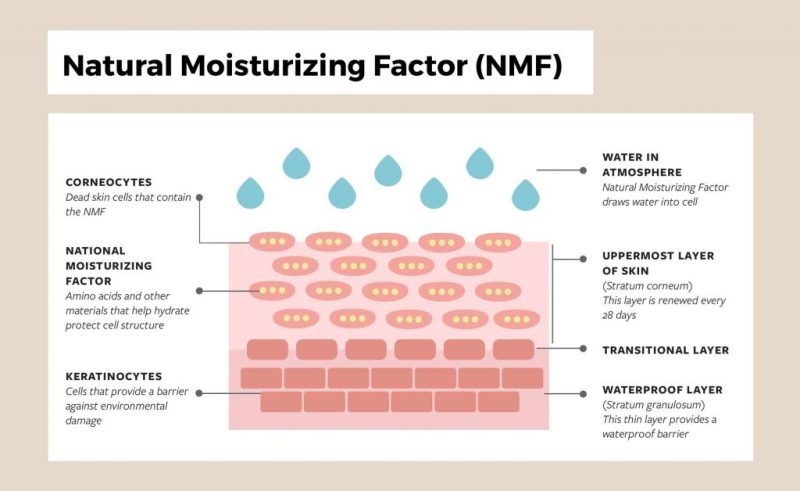 Natural Moisturizing Factor product, showcasing its hydrating formula for healthy skin at Dermaki.
