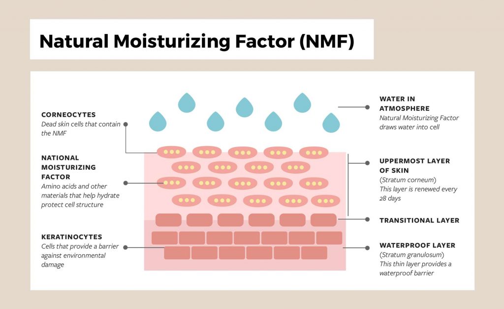 Natural Moisturizing Factor product, showcasing its hydrating formula for healthy skin at Dermaki.