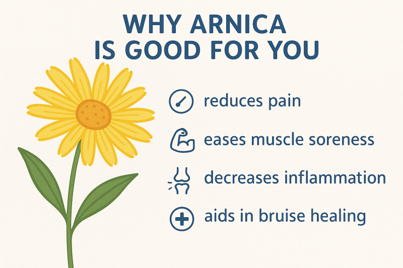 Arnica extract in a soothing skincare formula for anti-aging and inflammation relief.